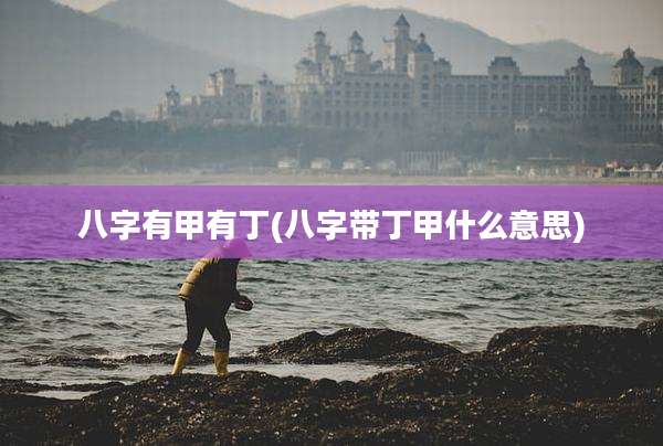 八字有甲有丁(八字带丁甲什么意思)