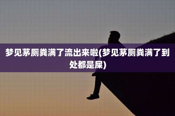 梦见茅厕粪满了流出来啦(梦见茅厕粪满了到处都是屎)