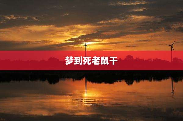 梦到死老鼠干