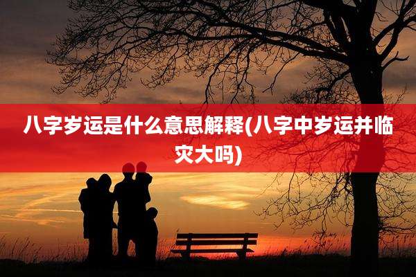 八字岁运是什么意思解释(八字中岁运并临灾大吗)