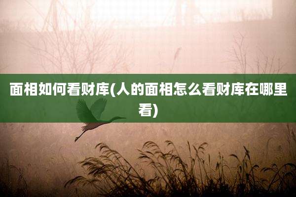 面相如何看财库(人的面相怎么看财库在哪里看)