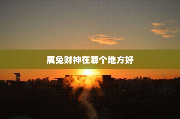 属兔财神在哪个地方好