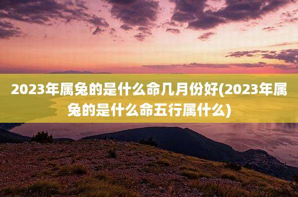 2023年属兔的是什么命几月份好(2023年属兔的是什么命五行属什么)