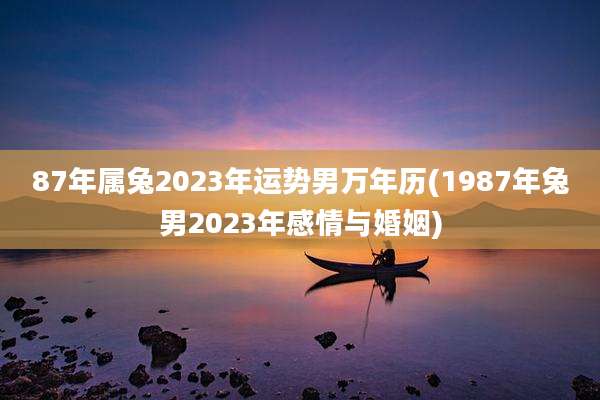 87年属兔2023年运势男万年历(1987年兔男2023年感情与婚姻)