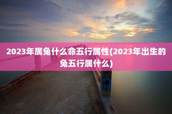 2023年属兔什么命五行属性(2023年出生的兔五行属什么)