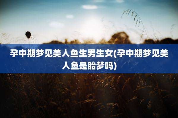 孕中期梦见美人鱼生男生女(孕中期梦见美人鱼是胎梦吗)