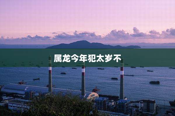 属龙今年犯太岁不