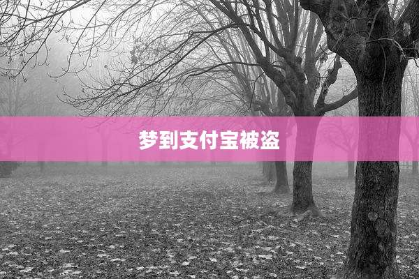 梦到支付宝被盗