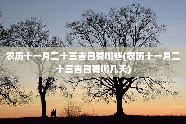 农历十一月二十三吉日有哪些(农历十一月二十三吉日有哪几天)