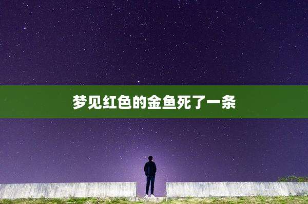 梦见红色的金鱼死了一条