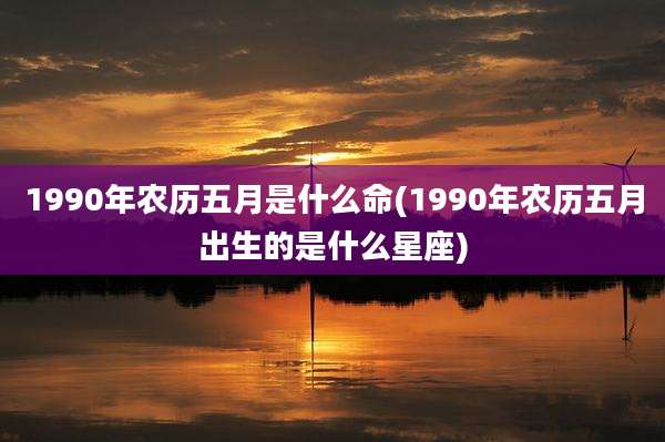 1990年农历五月是什么命(1990年农历五月出生的是什么星座)