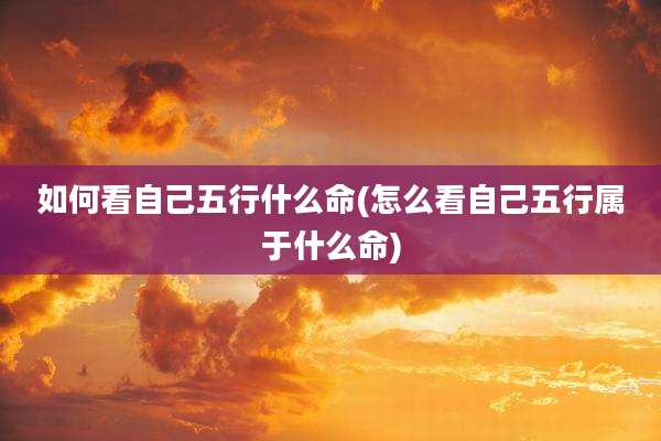如何看自己五行什么命(怎么看自己五行属于什么命)