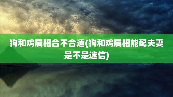 狗和鸡属相合不合适(狗和鸡属相能配夫妻是不是迷信)