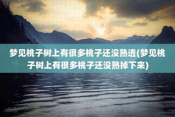 梦见桃子树上有很多桃子还没熟透(梦见桃子树上有很多桃子还没熟掉下来)