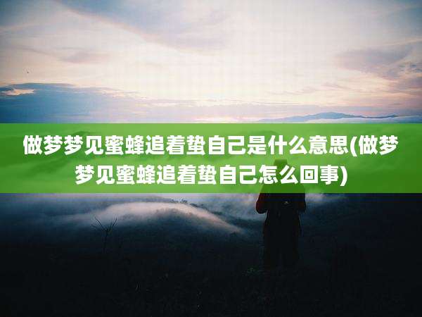 做梦梦见蜜蜂追着蛰自己是什么意思(做梦梦见蜜蜂追着蛰自己怎么回事)
