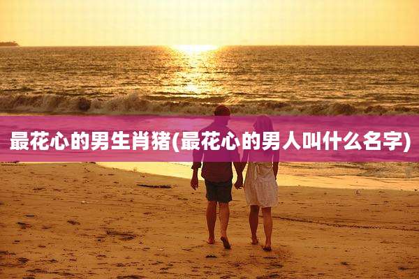 最花心的男生肖猪(最花心的男人叫什么名字)