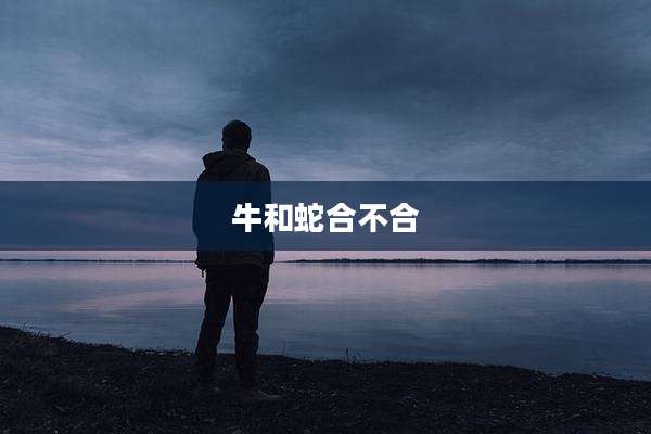 牛和蛇合不合
