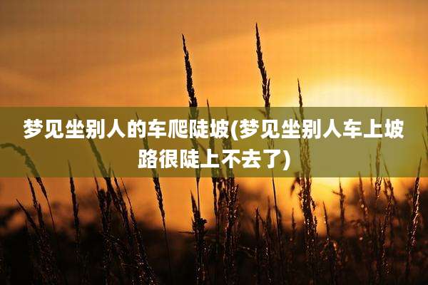梦见坐别人的车爬陡坡(梦见坐别人车上坡路很陡上不去了)