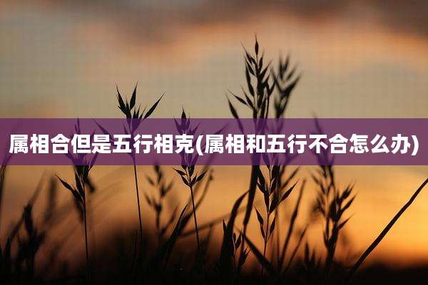 属相合但是五行相克(属相和五行不合怎么办)