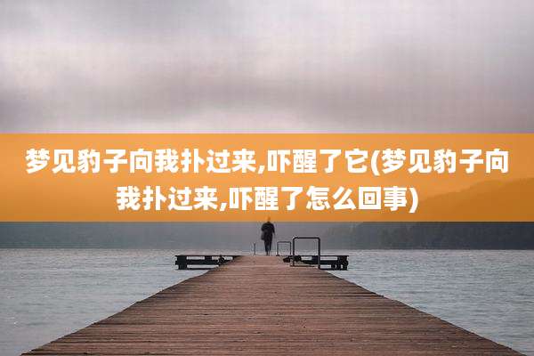 梦见豹子向我扑过来,吓醒了它(梦见豹子向我扑过来,吓醒了怎么回事)