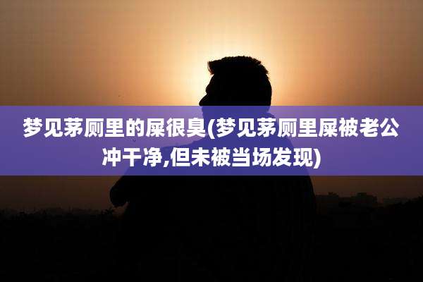 梦见茅厕里的屎很臭(梦见茅厕里屎被老公冲干净,但未被当场发现)