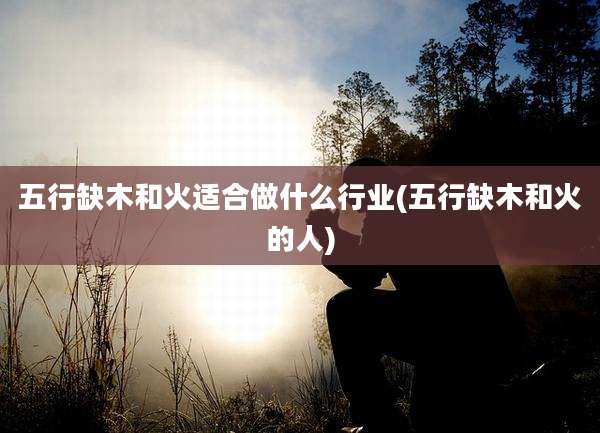 五行缺木和火适合做什么行业(五行缺木和火的人)