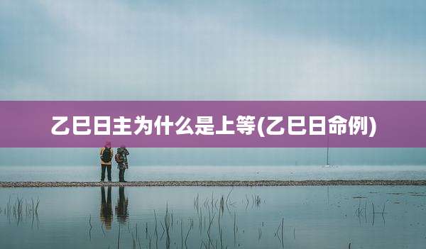 乙巳日主为什么是上等(乙巳日命例)