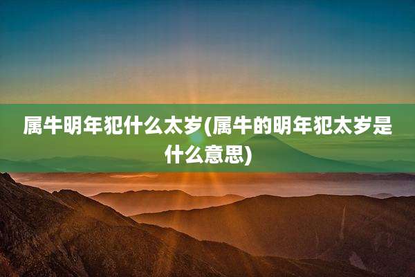 属牛明年犯什么太岁(属牛的明年犯太岁是什么意思)