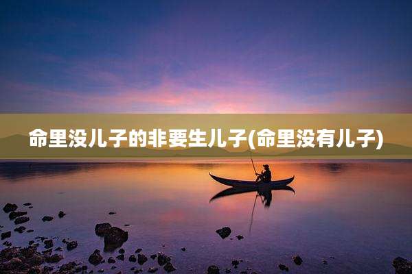 命里没儿子的非要生儿子(命里没有儿子)