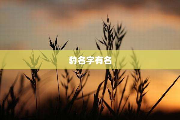豹名字有名