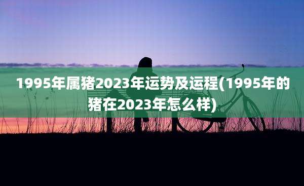 1995年属猪2023年运势及运程(1995年的猪在2023年怎么样)