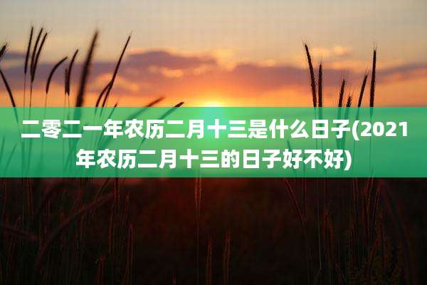 二零二一年农历二月十三是什么日子(2021年农历二月十三的日子好不好)