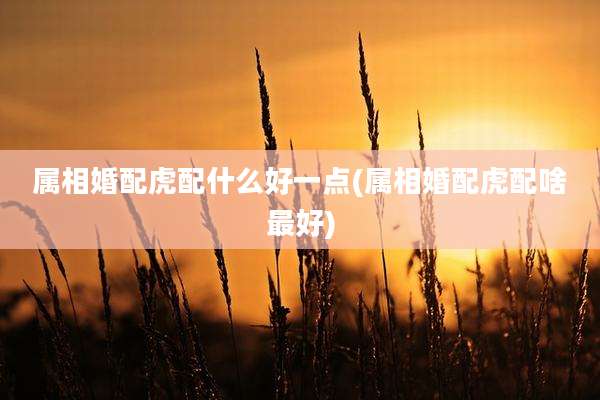 属相婚配虎配什么好一点(属相婚配虎配啥最好)