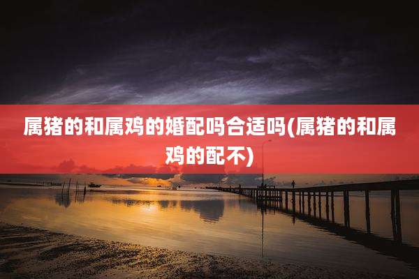 属猪的和属鸡的婚配吗合适吗(属猪的和属鸡的配不)