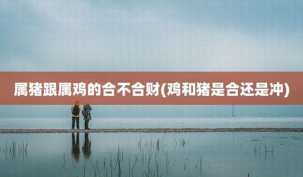 属猪跟属鸡的合不合财(鸡和猪是合还是冲)