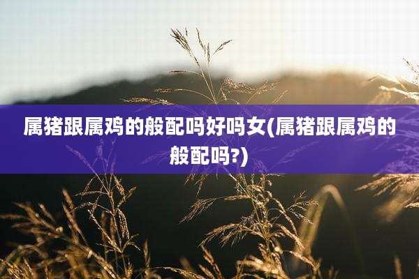 属猪跟属鸡的般配吗好吗女(属猪跟属鸡的般配吗?)