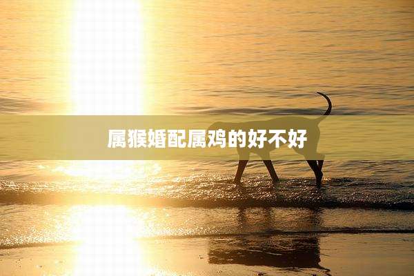 属猴婚配属鸡的好不好
