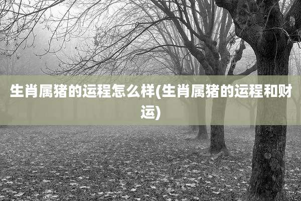 生肖属猪的运程怎么样(生肖属猪的运程和财运)