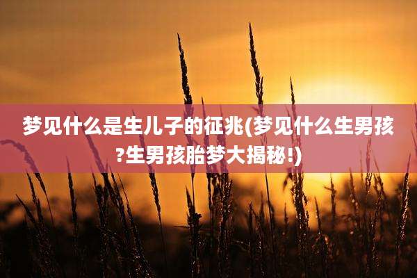 梦见什么是生儿子的征兆(梦见什么生男孩?生男孩胎梦大揭秘!)