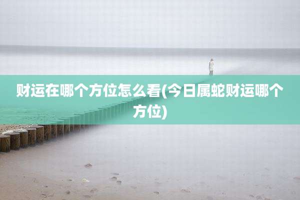 财运在哪个方位怎么看(今日属蛇财运哪个方位)