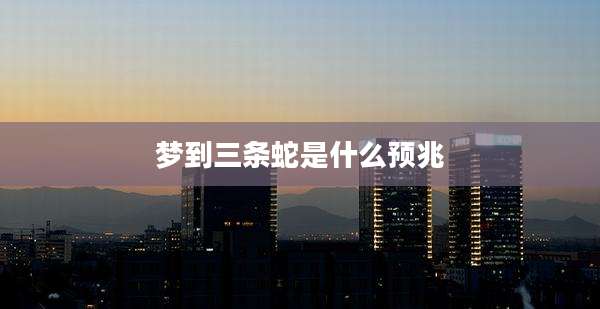 梦到三条蛇是什么预兆