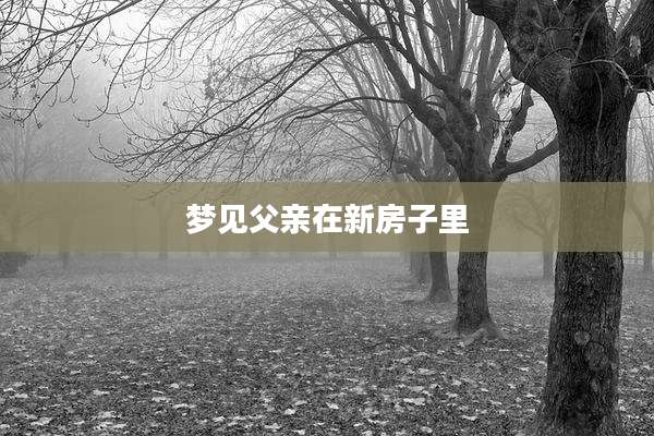 梦见父亲在新房子里