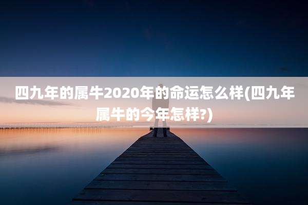 四九年的属牛2020年的命运怎么样(四九年属牛的今年怎样?)