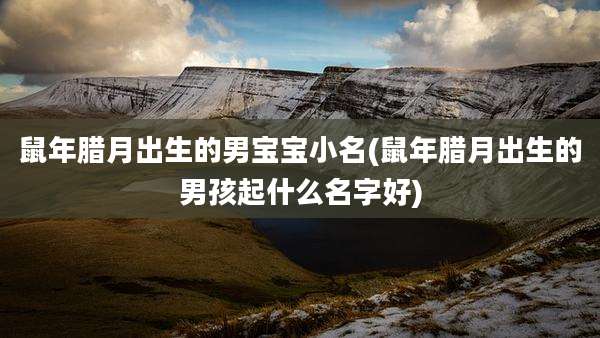 鼠年腊月出生的男宝宝小名(鼠年腊月出生的男孩起什么名字好)