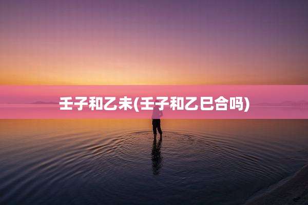 壬子和乙未(壬子和乙巳合吗)