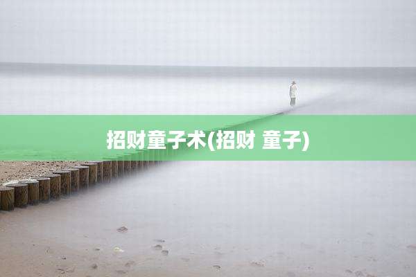 招财童子术(招财 童子)