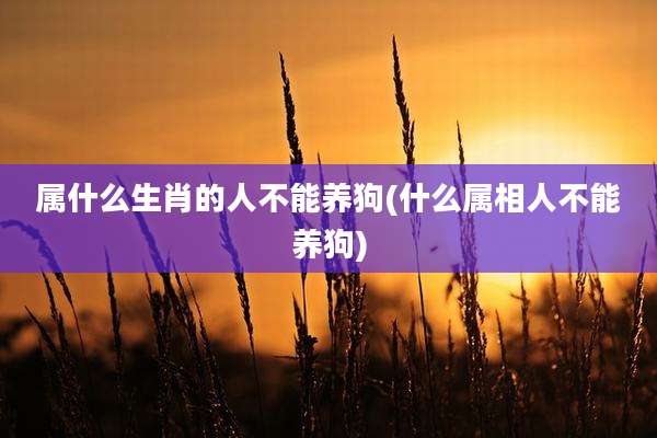 属什么生肖的人不能养狗(什么属相人不能养狗)