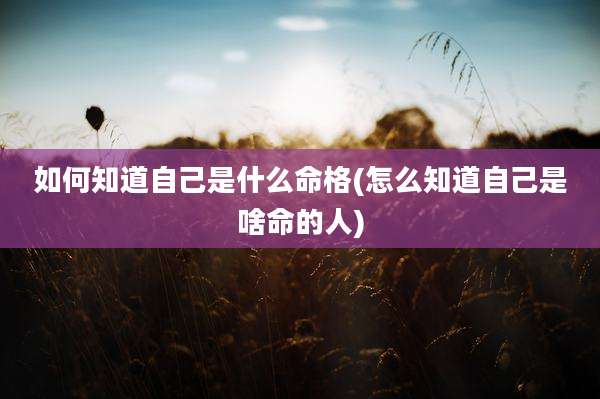 如何知道自己是什么命格(怎么知道自己是啥命的人)