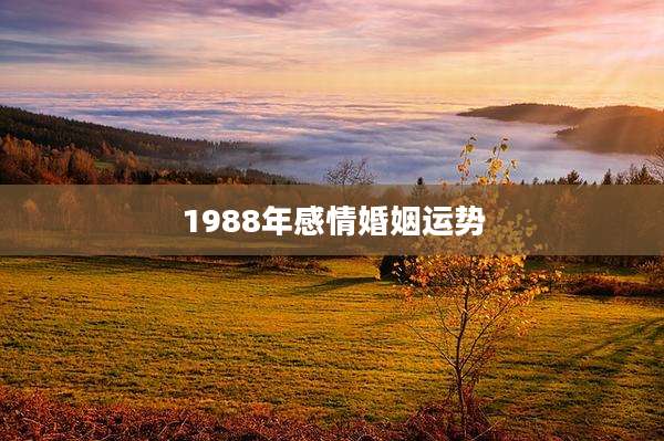 1988年感情婚姻运势