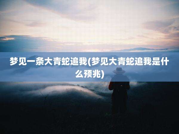 梦见一条大青蛇追我(梦见大青蛇追我是什么预兆)